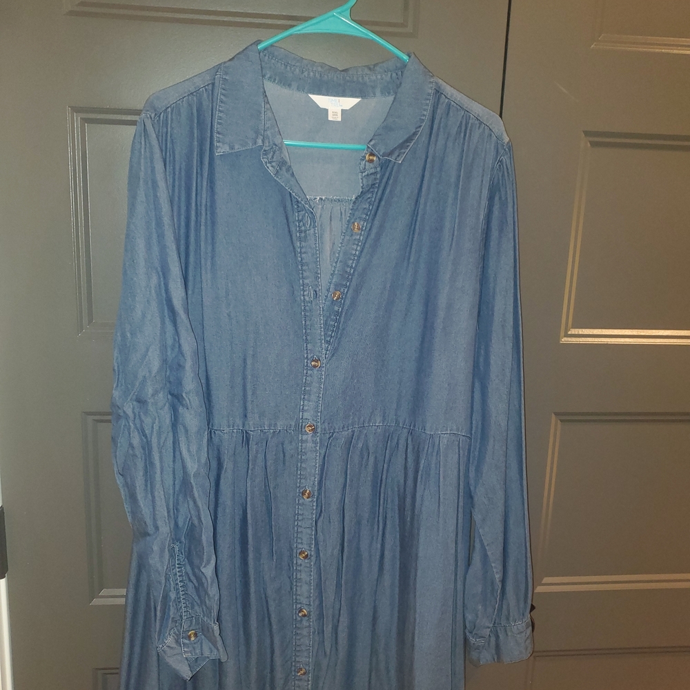 Time and Tru Blue Denim Dress